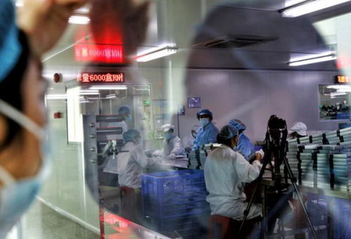 五年助推50個億級新品牌，拼多多新品牌計劃引領化妝品國貨崛起