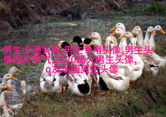 男生最爱的帅气qq头像(18张)