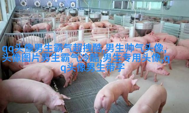 最火头像2023男生图片大全(共24张)