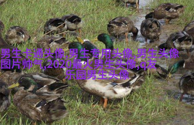 男生最爱的帅气qq头像(18张)