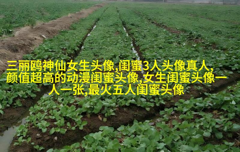 qq姐妹背影头像