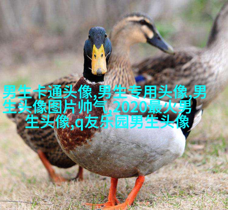 男生最爱的帅气qq头像(18张)