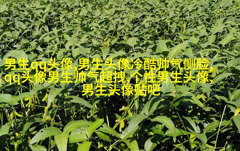最近比较火的男生头像图片(共18张)