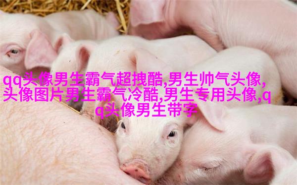 最火头像2023男生图片大全(共24张)