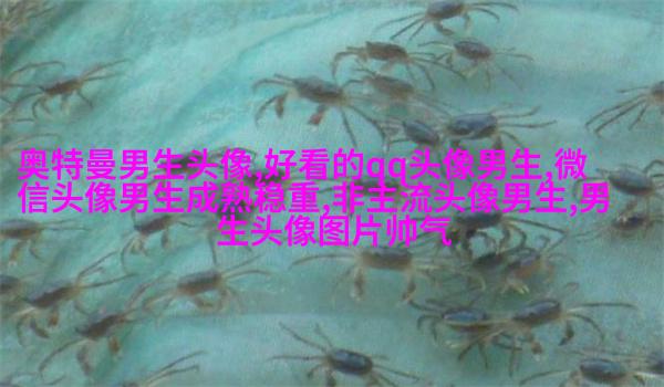 颓废男生欧美风格头像图片(共18张)