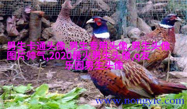 男生最爱的帅气qq头像(18张)